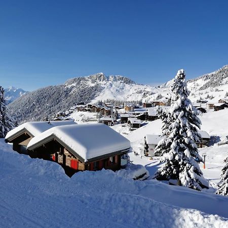 Chalet Enzian Riederalp Eksteriør billede