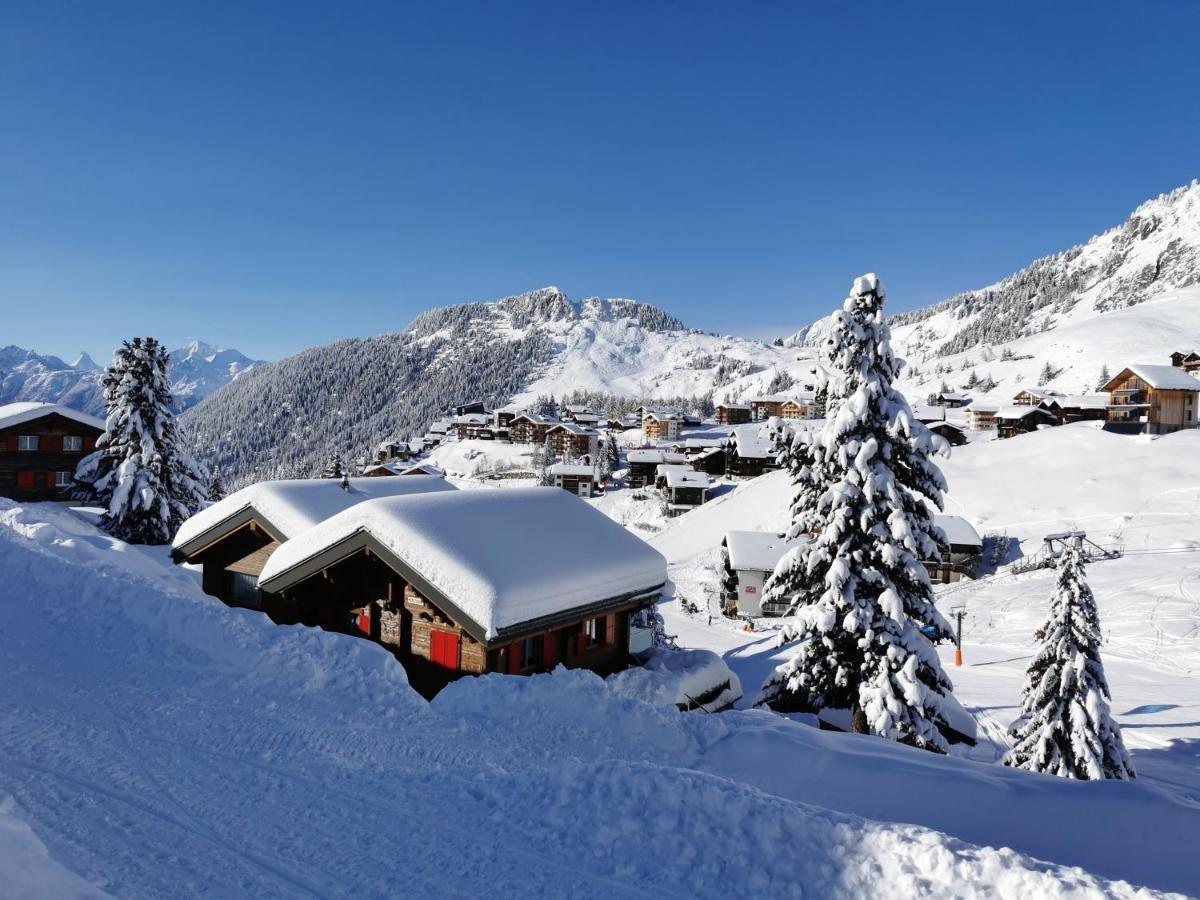 Chalet Enzian Riederalp Eksteriør billede