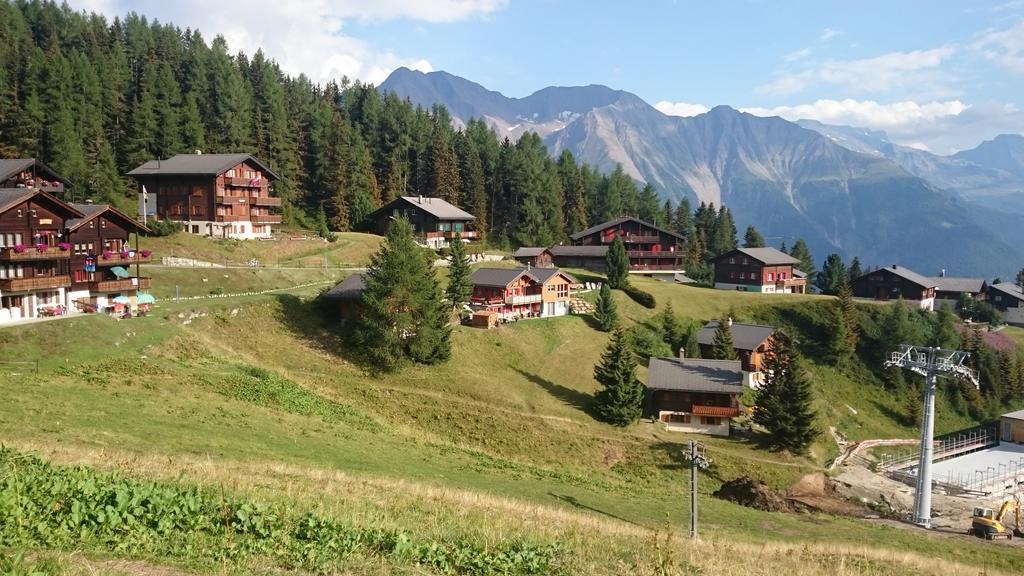 Chalet Enzian Riederalp Eksteriør billede