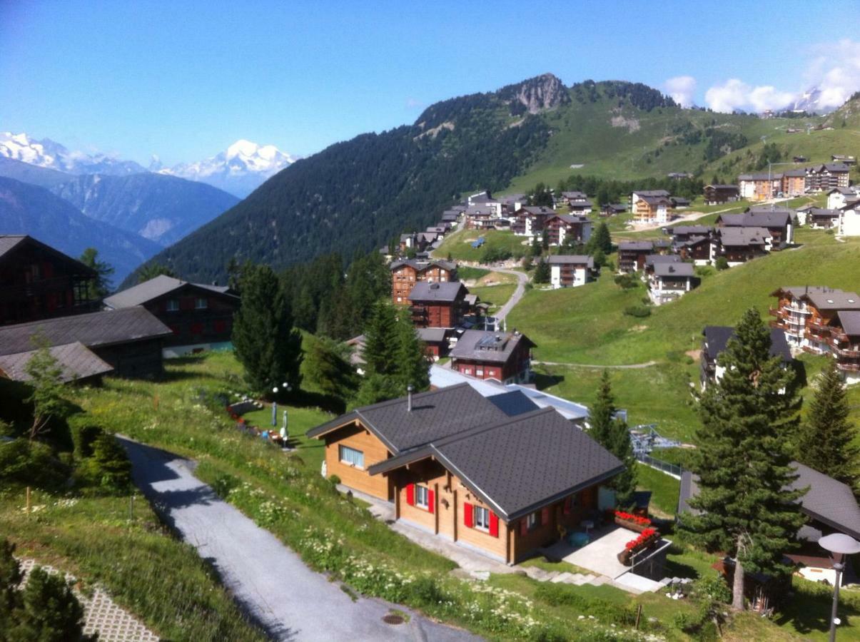 Chalet Enzian Riederalp Eksteriør billede